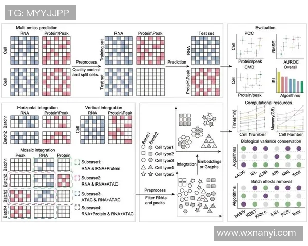 北京篮球队团队协作深度解析与其他球队的对比研究 北京篮球队团队协作深度解析与其他球队的对比研究
